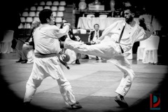 AdJ_Karate-Into-The-Olympics_01117