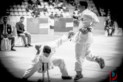 AdJ_Karate-Into-The-Olympics_01119