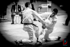 AdJ_Karate-Into-The-Olympics_01120