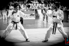 AdJ_Karate-Into-The-Olympics_01122