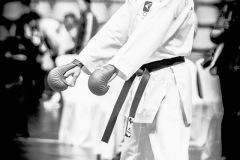 AdJ_Karate-Into-The-Olympics_01123
