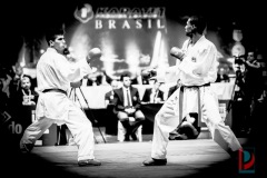 AdJ_Karate-Into-The-Olympics_01126