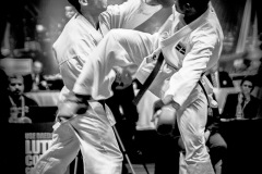 AdJ_Karate-Into-The-Olympics_01128