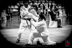 AdJ_Karate-Into-The-Olympics_01134