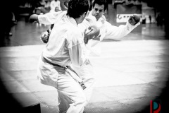 AdJ_Karate-Into-The-Olympics_01136