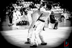 AdJ_Karate-Into-The-Olympics_01144