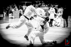 AdJ_Karate-Into-The-Olympics_01148