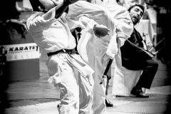 AdJ_Karate-Into-The-Olympics_01149
