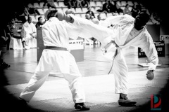 AdJ_Karate-Into-The-Olympics_01150