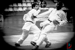 AdJ_Karate-Into-The-Olympics_01153