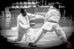 AdJ_Karate-Into-The-Olympics_01154