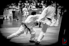 AdJ_Karate-Into-The-Olympics_01157