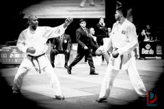AdJ_Karate-Into-The-Olympics_01168