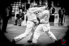 AdJ_Karate-Into-The-Olympics_01170