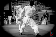 AdJ_Karate-Into-The-Olympics_01172