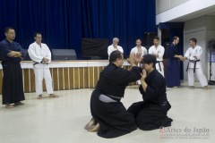 AdJ_Seminario-Bujutsu_098
