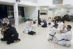 AdJ_Seminario-Bujutsu_101