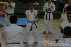 Seminario_Internacional_KarateDo_GojuRyu_Saiko_Shihan_Yamaguchi_Goshi_03