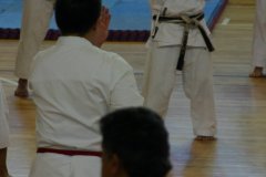 Seminario_Internacional_KarateDo_GojuRyu_Saiko_Shihan_Yamaguchi_Goshi_04