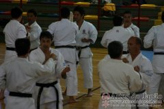 Seminario_Internacional_KarateDo_GojuRyu_Saiko_Shihan_Yamaguchi_Goshi_08