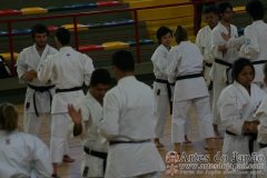 Seminario_Internacional_KarateDo_GojuRyu_Saiko_Shihan_Yamaguchi_Goshi_09