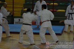 Seminario_Internacional_KarateDo_GojuRyu_Saiko_Shihan_Yamaguchi_Goshi_16