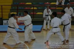 Seminario_Internacional_KarateDo_GojuRyu_Saiko_Shihan_Yamaguchi_Goshi_17
