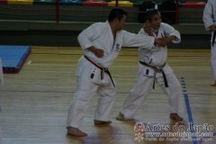Seminario_Internacional_KarateDo_GojuRyu_Saiko_Shihan_Yamaguchi_Goshi_19