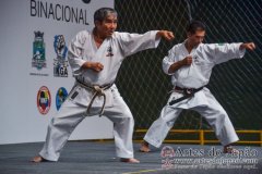 AdJ_Seminario-Internacional-Saiko-Shihan-Yamaguchi-Goshi_022