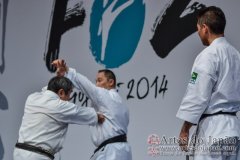 AdJ_Seminario-Internacional-Saiko-Shihan-Yamaguchi-Goshi_029