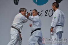 AdJ_Seminario-Internacional-Saiko-Shihan-Yamaguchi-Goshi_030