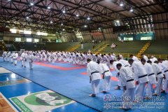 AdJ_Seminario-Internacional-Saiko-Shihan-Yamaguchi-Goshi_035