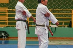 AdJ_Seminario-Internacional-Saiko-Shihan-Yamaguchi-Goshi_038