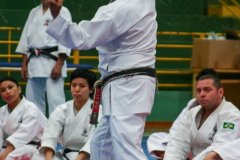 AdJ_Seminario-Internacional-Saiko-Shihan-Yamaguchi-Goshi_040