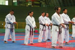 AdJ_Seminario-Internacional-Saiko-Shihan-Yamaguchi-Goshi_041