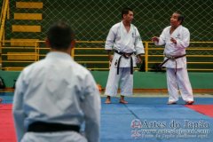 AdJ_Seminario-Internacional-Saiko-Shihan-Yamaguchi-Goshi_043