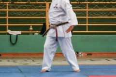 AdJ_Seminario-Internacional-Saiko-Shihan-Yamaguchi-Goshi_044