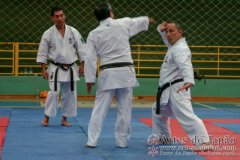 AdJ_Seminario-Internacional-Saiko-Shihan-Yamaguchi-Goshi_045