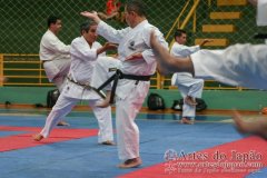 AdJ_Seminario-Internacional-Saiko-Shihan-Yamaguchi-Goshi_046