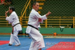 AdJ_Seminario-Internacional-Saiko-Shihan-Yamaguchi-Goshi_047