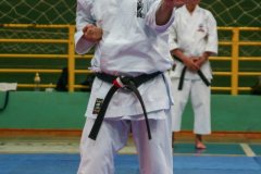 AdJ_Seminario-Internacional-Saiko-Shihan-Yamaguchi-Goshi_049