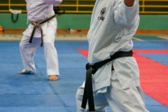 AdJ_Seminario-Internacional-Saiko-Shihan-Yamaguchi-Goshi_050