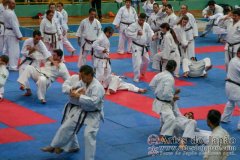 AdJ_Seminario-Internacional-Saiko-Shihan-Yamaguchi-Goshi_051