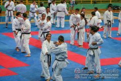 AdJ_Seminario-Internacional-Saiko-Shihan-Yamaguchi-Goshi_052