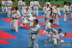 AdJ_Seminario-Internacional-Saiko-Shihan-Yamaguchi-Goshi_053