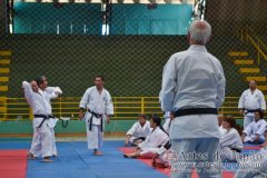 AdJ_Seminario-Internacional-Saiko-Shihan-Yamaguchi-Goshi_054