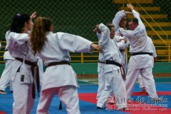 AdJ_Seminario-Internacional-Saiko-Shihan-Yamaguchi-Goshi_055