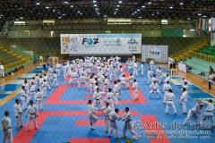 AdJ_Seminario-Internacional-Saiko-Shihan-Yamaguchi-Goshi_057