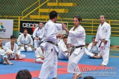 AdJ_Seminario-Internacional-Saiko-Shihan-Yamaguchi-Goshi_059