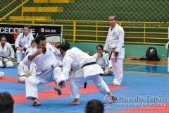 AdJ_Seminario-Internacional-Saiko-Shihan-Yamaguchi-Goshi_060